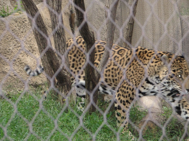 20100206 531.JPG